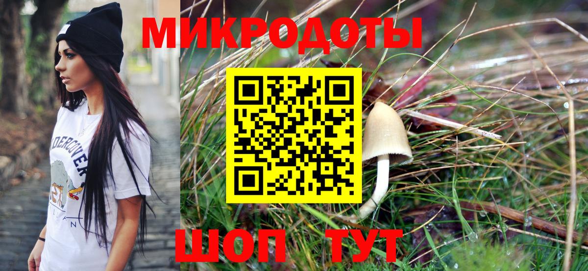 Галлюциногенные грибы Magic Shrooms  Вход с VPN  Кореновск  Псилоцибиновые грибы Psilocybine cubensis 