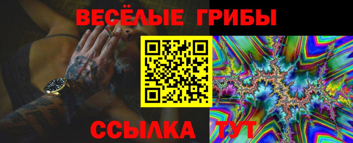 Галлюциногенные грибы Magic Shrooms  Галлюциногенные грибы GOLDEN TEACHER  Кореновск 