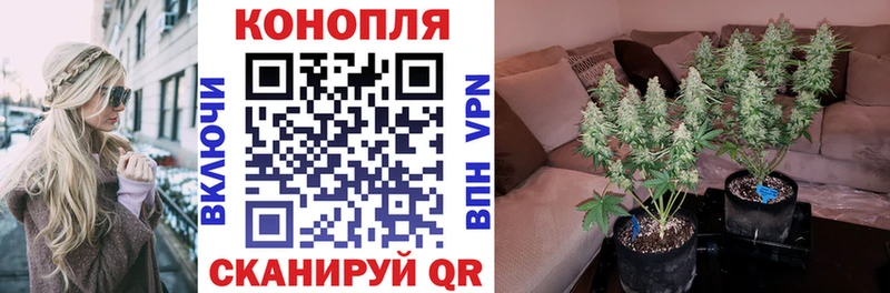 гидра ONION  дарнет шоп  Кореновск  Конопля Amnesia 
